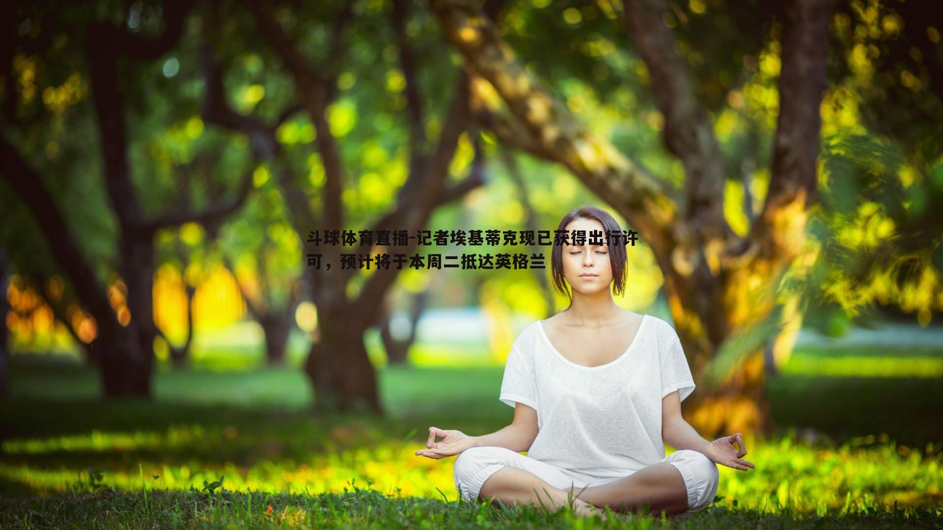 斗球体育直播-记者埃基蒂克现已获得出行许可，预计将于本周二抵达英格兰